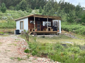 The Little House